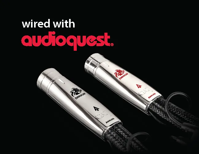 AudioQuest Wired with AudioQuest klistremerke Dragon XLR