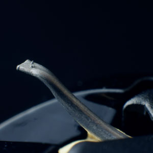 JICO Clipper MM pickup til platespiller – komplett patron
